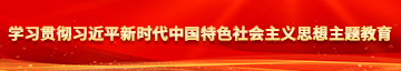 东北大屌操美女视频学习贯彻习近平新时代中国特色社会主义思想主题教育